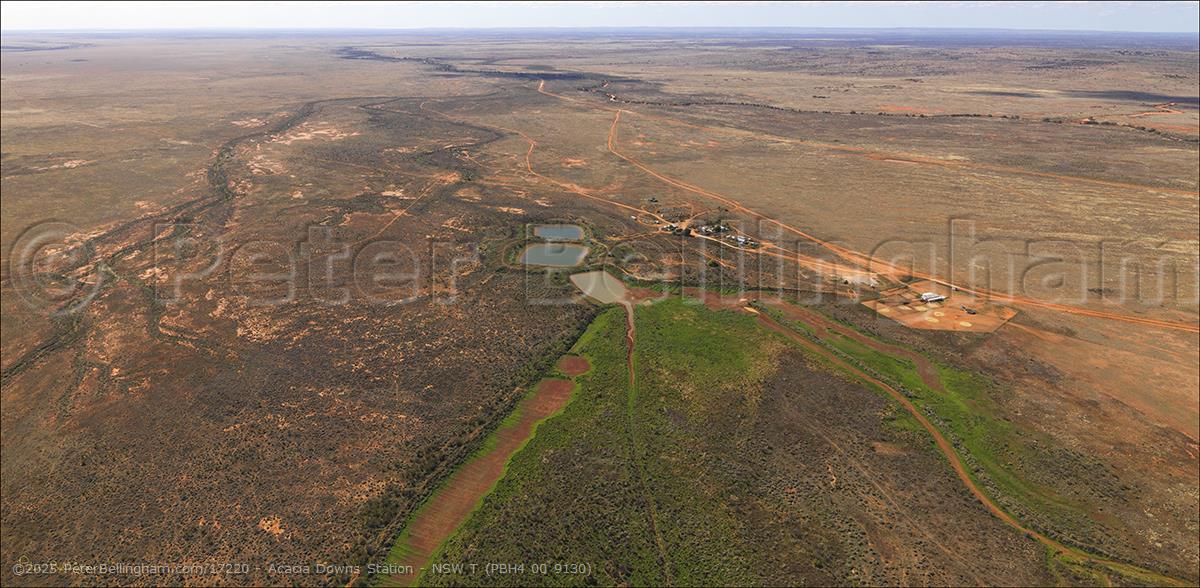 Peter Bellingham Photography Acacia Downs Station - NSW T (PBH4 00 9130)